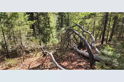 Pinecrest Drive, Grants Pass, OR 97526 - Photo 4