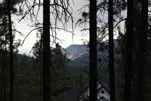 3508 Cougar Butte Ln, Klamath Falls, OR 97601 - Photo 54