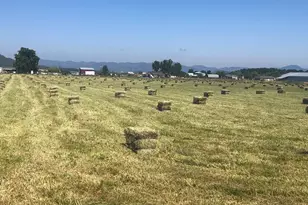 2795 Ball Rd, Eagle Point, OR 97524 - Photo 30