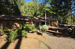 290 Crest Dr, Cave Junction, OR 97523 - Photo 6
