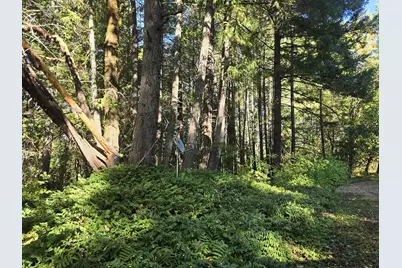 290 Crest Drive, Cave Junction, OR 97523 - Photo 12