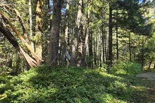 290 Crest Dr, Cave Junction, OR 97523 - Photo 12