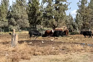 5910 NE 41st St, Redmond, OR 97756 - Photo 10