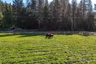 18200 Williams Hwy, Williams, OR 97544 - Photo 102
