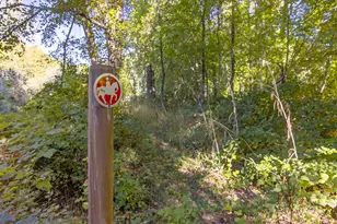 18200 Williams Hwy, Williams, OR 97544 - Photo 96