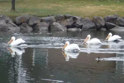 2937 Front Street, Klamath Falls, OR 97601 - Photo 44