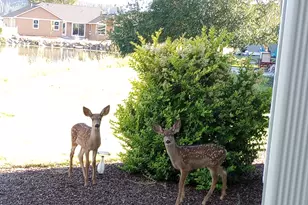 2937 Front St, Klamath Falls, OR 97601 - Photo 38