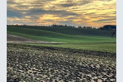 39986 Gisler Road, Scio, OR 97374 - Photo 8