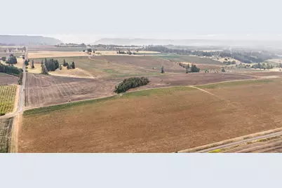 39986 Gisler Road, Scio, OR 97374 - Photo 4