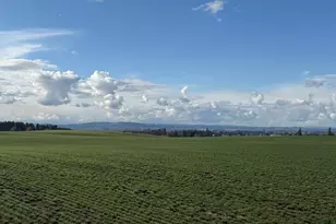 39986 Gisler Rd, Scio, OR 97374 - Photo 38