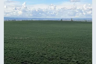 39986 Gisler Road, Scio, OR 97374 - Photo 6