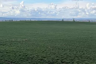 39986 Gisler Rd, Scio, OR 97374 - Photo 6