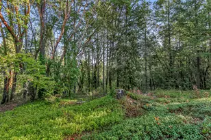 10665 Redwood Hwy, Wilderville, OR 97543 - Photo 40