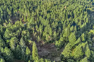 10665 Redwood Hwy, Wilderville, OR 97543 - Photo 52