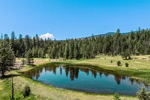 16799 Hwy 66, Ashland, OR 97520 - Photo 48