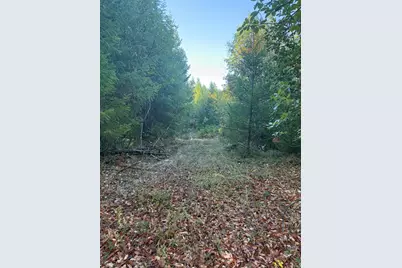 160 Birdseye Cr Road, Rogue River, OR 97537 - Photo 6