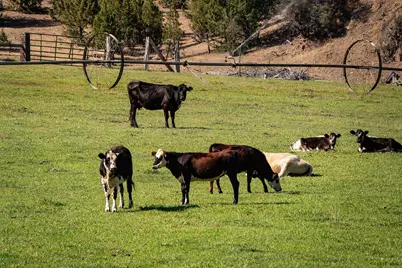 33084 Cougar Mountain Road, Mitchell, OR 97750 - Photo 12