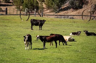 33084 Cougar Mountain Rd, Mitchell, OR 97750 - Photo 12