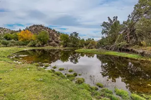 33084 Cougar Mountain Rd, Mitchell, OR 97750 - Photo 6