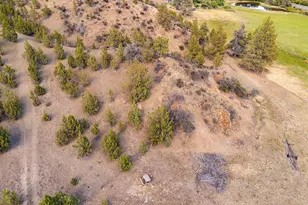 33084 Cougar Mountain Rd, Mitchell, OR 97750 - Photo 56