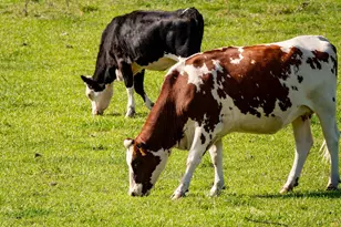 33084 Cougar Mountain Rd, Mitchell, OR 97750 - Photo 64