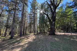 12330 E Evans Creek Rd, Rogue River, OR 97537 - Photo 78