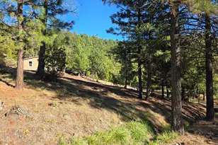 625 Evergreen Dr, Prospect, OR 97536 - Photo 26