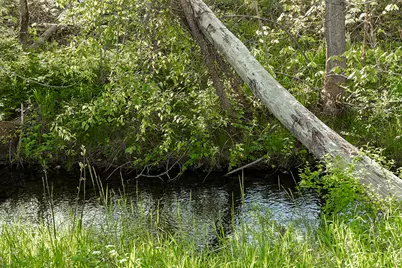 321 N Frontage Road, Wolf Creek, OR 97497 - Photo 82