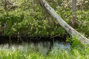 321 N Frontage Rd, Wolf Creek, OR 97497 - Photo 82