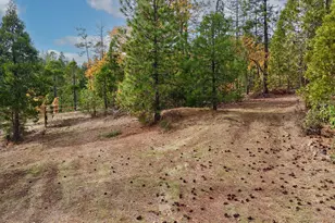 121 Horse Ranch Rd, Prospect, OR 97536 - Photo 14