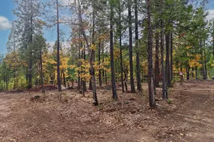 121 Horse Ranch Rd, Prospect, OR 97536 - Photo 18