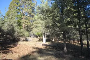 15709 Black Bear Ct, Keno, OR 97627 - Photo 8