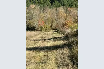 1200 McMullen Creek Road, Selma, OR 97538 - Photo 2