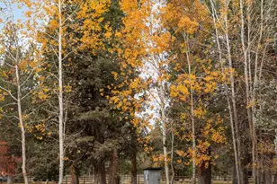 69440 Crooked Horseshoe Rd, Sisters, OR 97759 - Photo 72