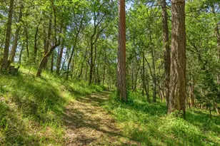 1988 Old Siskiyou Hwy, Ashland, OR 97520 - Photo 52
