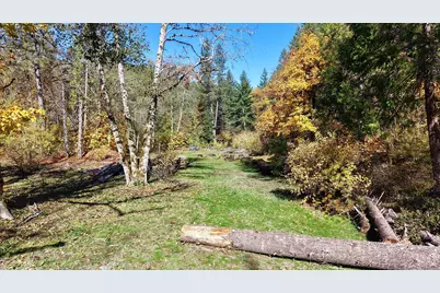 52 Dodes Creek Road, Trail, OR 97541 - Photo 80