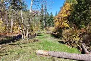 52 Dodes Creek Rd, Trail, OR 97541 - Photo 80
