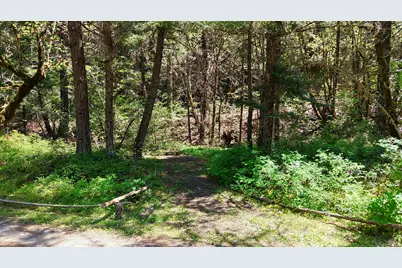 52 Dodes Creek Road, Trail, OR 97541 - Photo 16