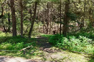 52 Dodes Creek Rd, Trail, OR 97541 - Photo 16