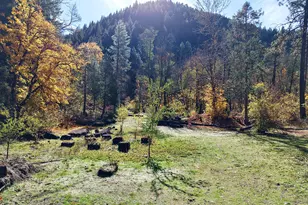52 Dodes Creek Rd, Trail, OR 97541 - Photo 78