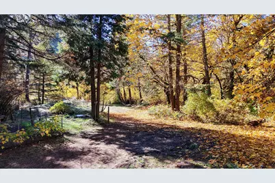 52 Dodes Creek Road, Trail, OR 97541 - Photo 74