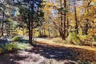 52 Dodes Creek Rd, Trail, OR 97541 - Photo 74