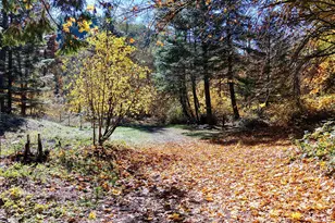 52 Dodes Creek Rd, Trail, OR 97541 - Photo 68