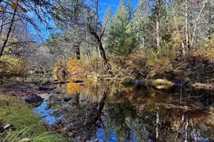 52 Dodes Creek Rd, Trail, OR 97541 - Photo 62