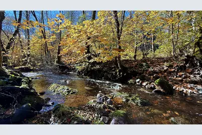 52 Dodes Creek Road, Trail, OR 97541 - Photo 64