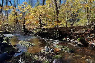 52 Dodes Creek Rd, Trail, OR 97541 - Photo 64