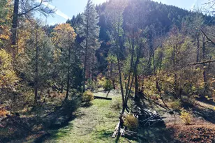 52 Dodes Creek Rd, Trail, OR 97541 - Photo 84