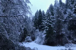 52 Dodes Creek Rd, Trail, OR 97541 - Photo 100