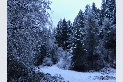 52 Dodes Creek Road, Trail, OR 97541 - Photo 86