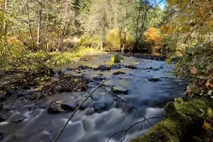 52 Dodes Creek Rd, Trail, OR 97541 - Photo 62